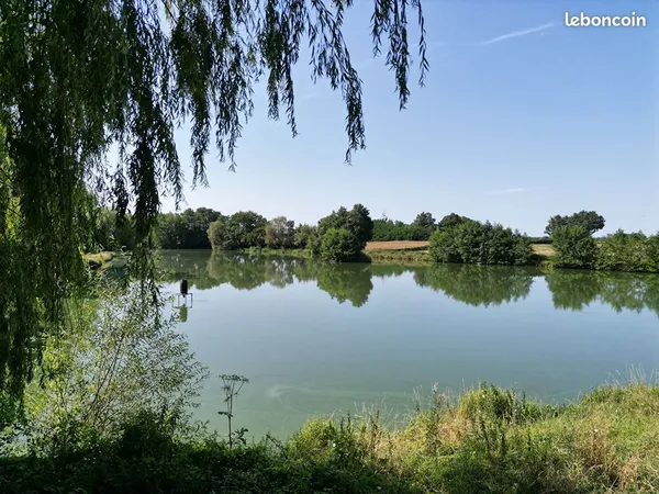 Terrain 17000 m² ST MARTIN EN BRESSE