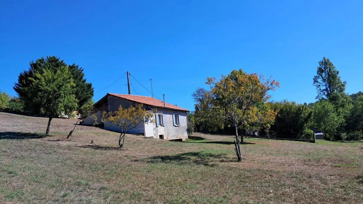 Photo 1