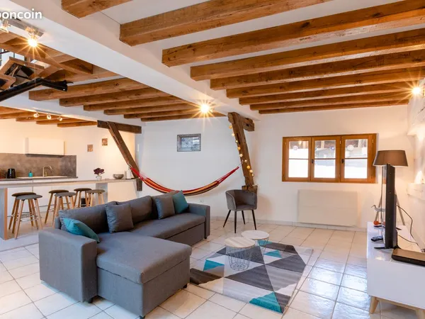 Duplex T4 90 m² - 3 chambres - vaste séjour 47 m² - coeur de Troyes