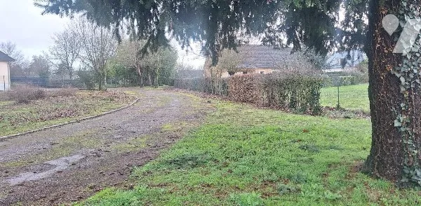 Terrain 1240 m²