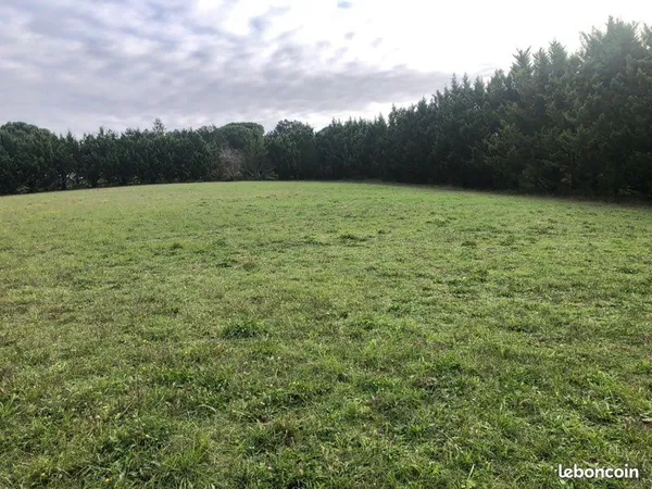 Terrain 5000 m2 à vieille-toulouse