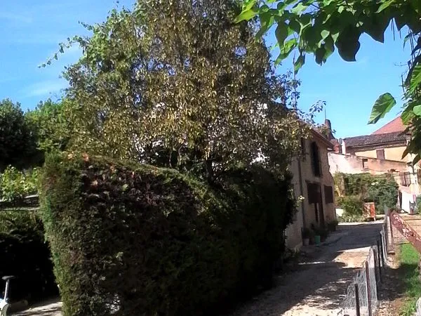 Maison centre-ville