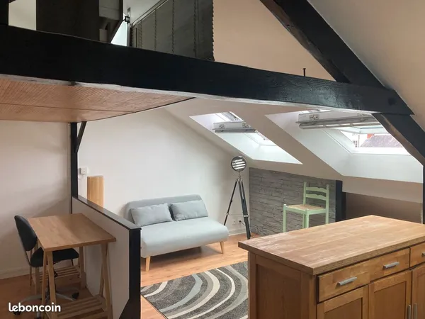 T1 20 M2 avec Mezzanine meublé