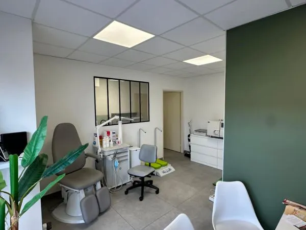 Local commercial - professionnel