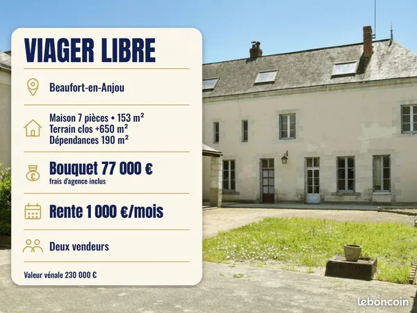 Maison de ville en viager 7 pièces 153 m²
