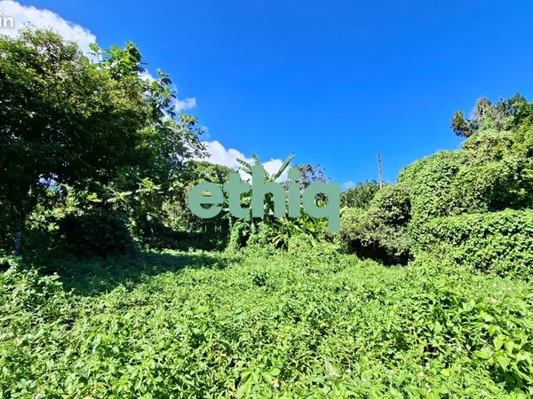 Terrain 1600 m² Capesterre-Belle-Eau