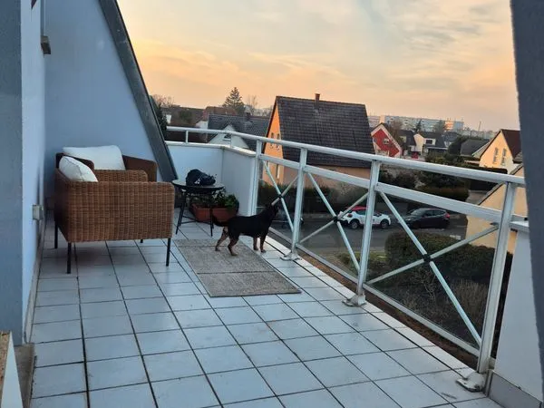 Appartement 2 pièces 44m2