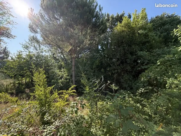 Terrain 550 m² Le Taillan Medoc