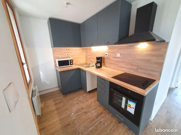 Appartement rénové Type 2 - Hyper centre
