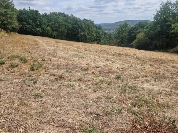 Terrain 1293 m²