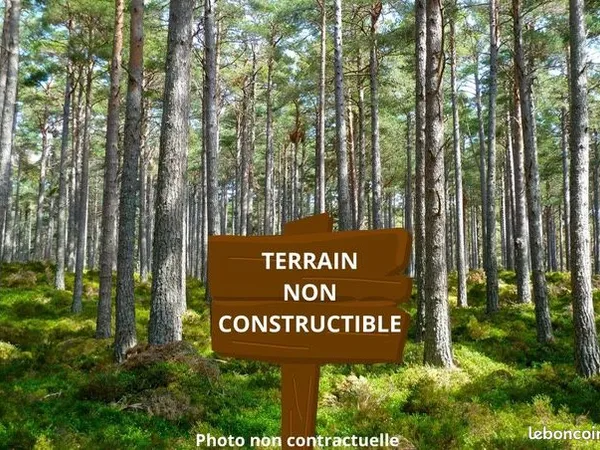 Terrain 17 967 m² Saint Savin