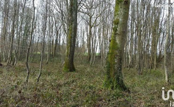Beau terrain 5476m29