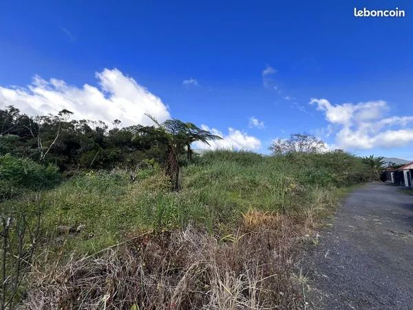 Terrain 469 m² Plaine-des-Palmistes