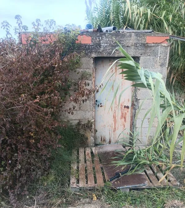 Photo 3