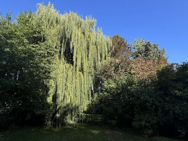 Maison de luxe 7 pièces 195 m²