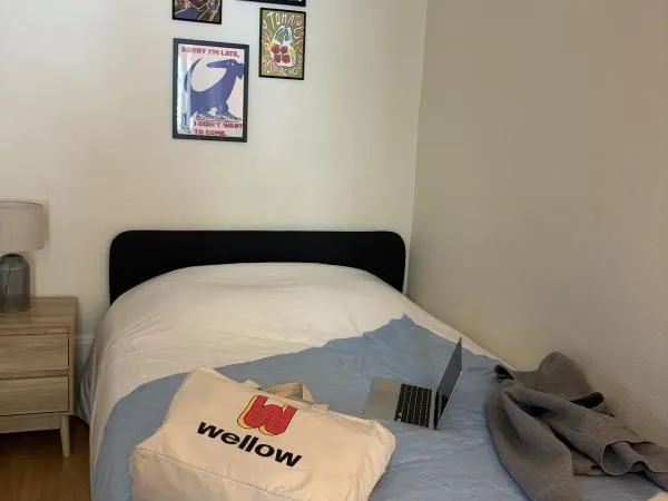 Chambre 1 pièce 17 m²