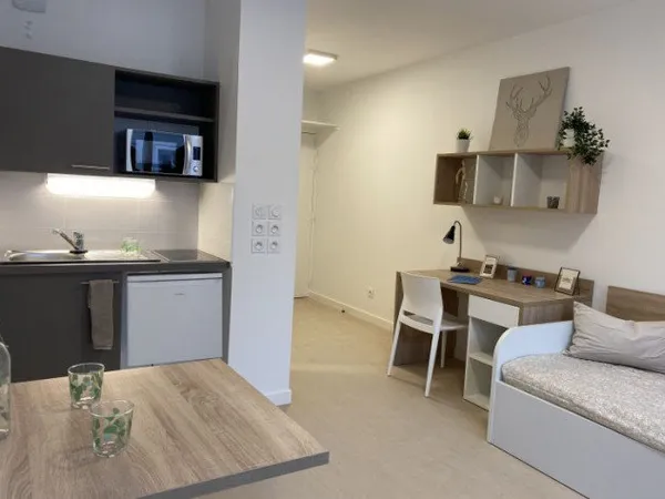 Appartement Location Villeurbanne 1p 16m² 424€