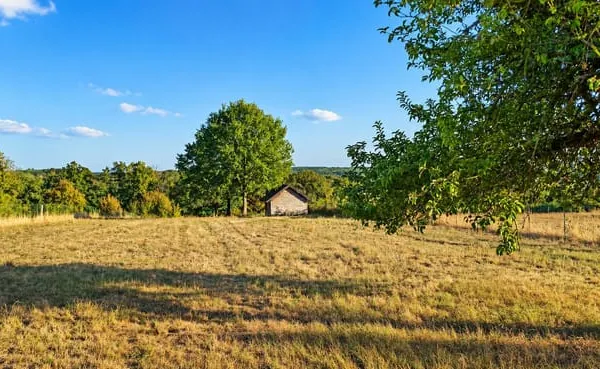 Terrain Vente Villeneuve-sur-Yonne 3460m² 35000€