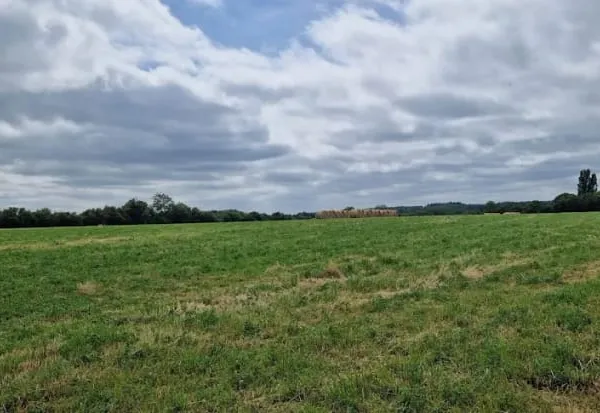 Terrain 596 m²