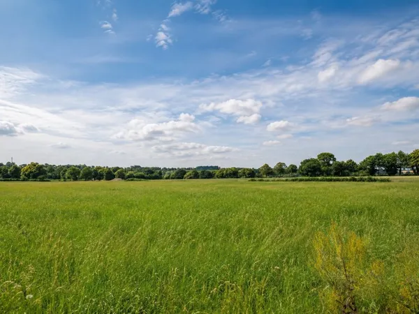 Terrain en individuel 12204 m²
