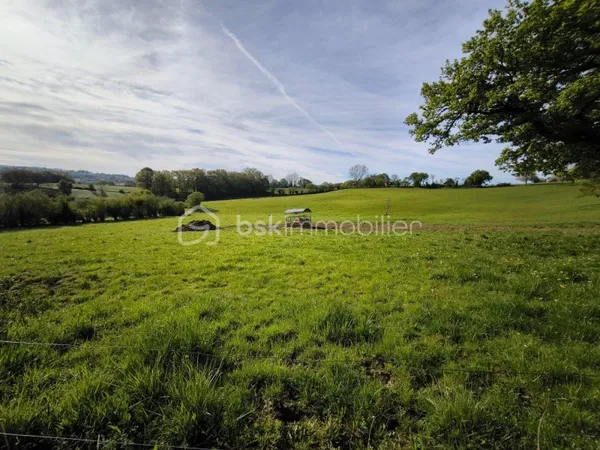 Terrain 50000 m²