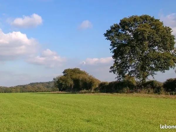 Terrain 301 m² Le Perray En Yvelines