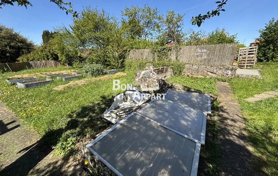 Photo 26