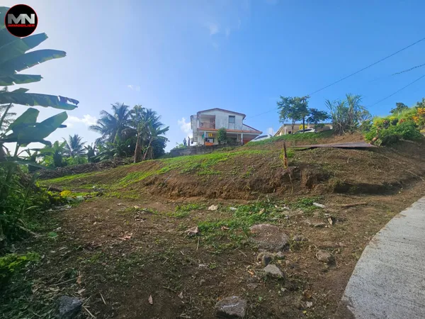 À VENDRE Terrain constructible Le Lorrain 97214 (Martini