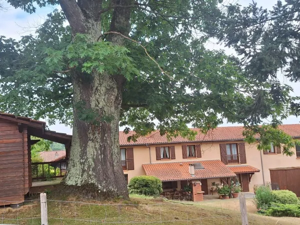 Maison 1 pièce 315 m²