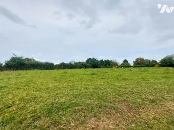 Terrain 6419 m²