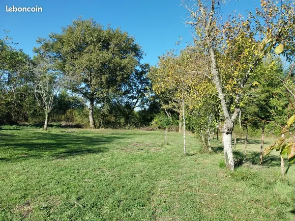Terrain constructible
