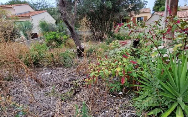 La ciotat cretes : Terrain constructible
