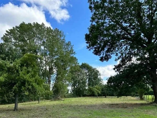 Terrain 1202 m²