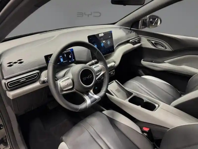 Byd Dolphin surf comfort 115 kw — photo 12