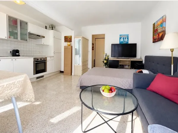 STUDIO LUMINEUX AVEC BALCON, CLIMATISATION ET CAVE