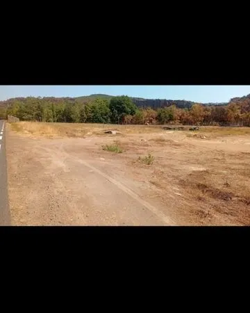 A vendre terrain agricol de 15300m2 prix 10000euro net a 5 minute du lac du salagou coter octon cole
