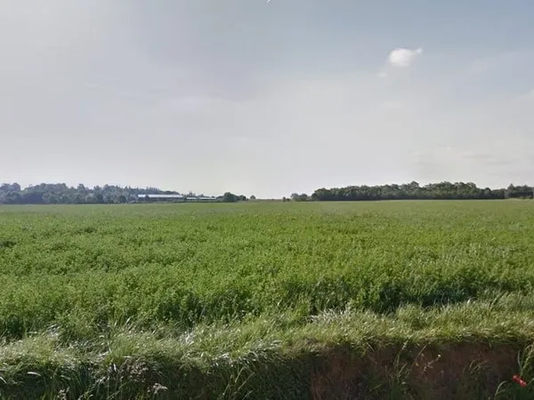 Terrain 220 m²