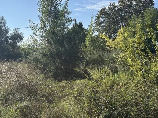 Terrain 520 m²
