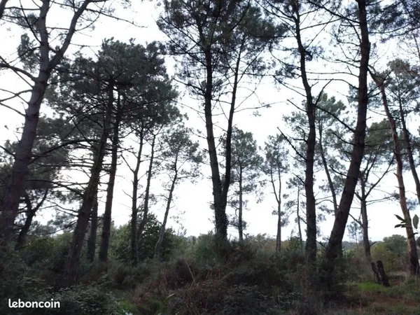 Terrain Location Arzal   100€