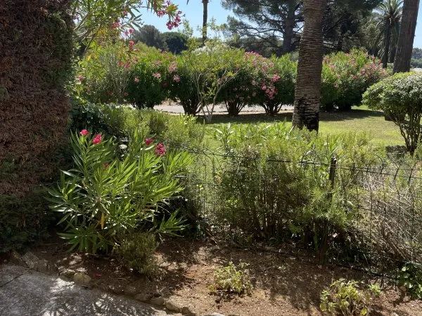 Vends appartement avec piscine jardin paysager
