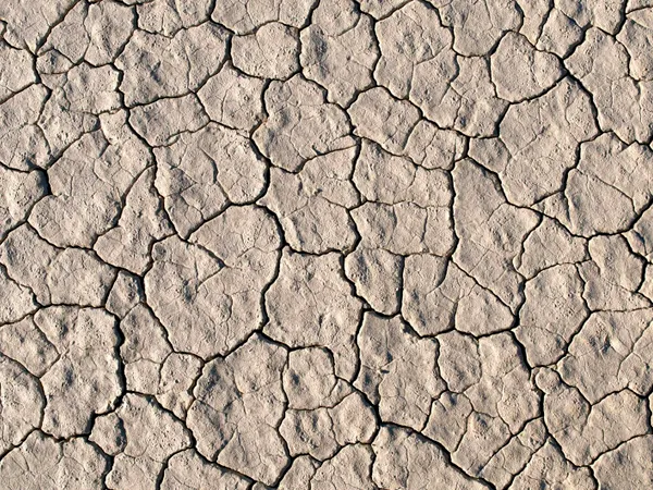 Cat Nat : après l'arrêté du 10 juillet, il ne reste que quelques jours pour déclarer — échéance le 16 août 2026