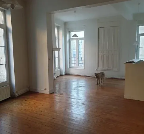 Appartement 1 pièce