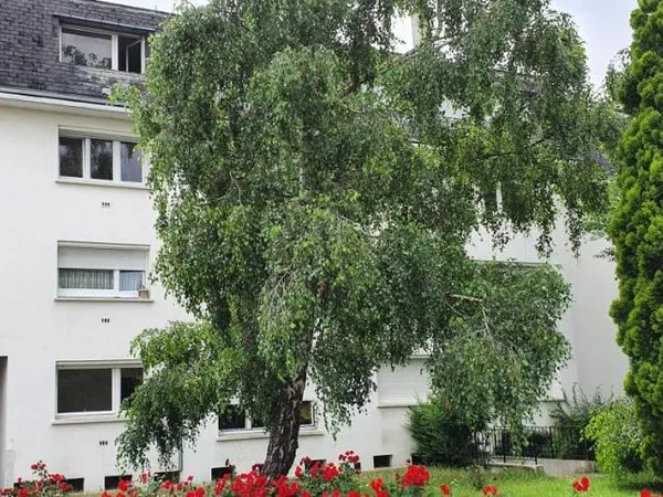 Appartement 2 pièces 55 m²