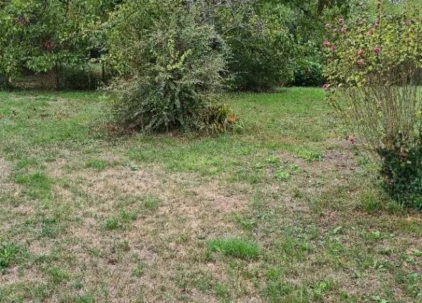 Terrain 805 m² Salleboeuf