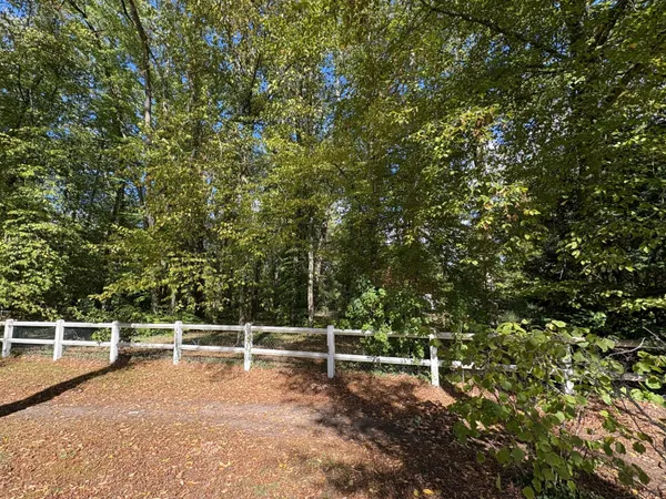 Grand terrain dans le domaine du lys