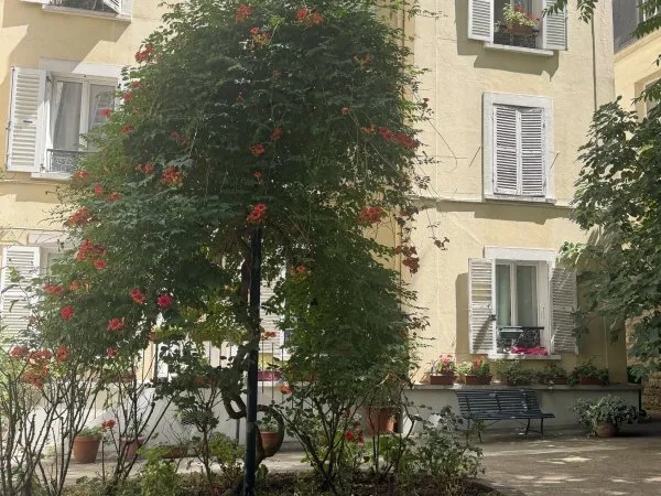 Location chambre août 2026- Pigalle/abbesses