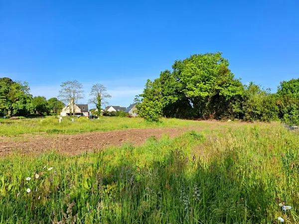 Terrain 982 m²