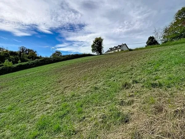 Terrain 7995 m² Monein