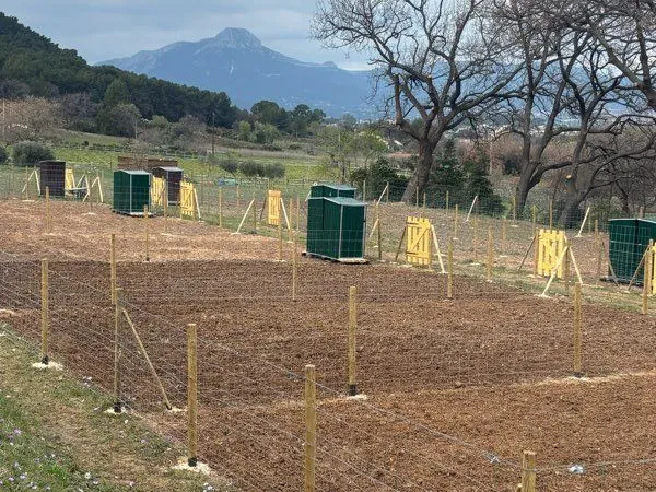 Jardin potager