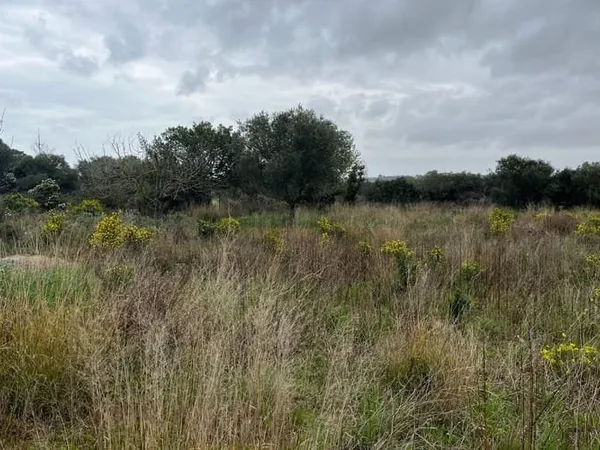 Terrain 492 m²